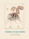 Concha s.f. casa à deriva - QUELONIO EDITORA