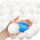 Conchas de vieira YUJUN Conchas marinhas brancas naturais 32 unidades de 5-7 cm