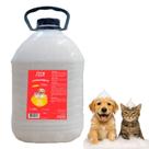 Condicionador 5L Caes Gato Hidratacao Brilho Banho Oferta