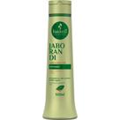 Condicionador Antiqueda Jaborandi Haskell 500ml