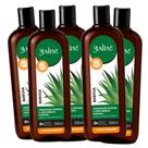 Condicionador Babosa 500ml Yabae 5 unidades Condicionador Babosa 500ml Yabae 5 unidades