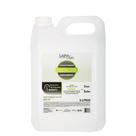 Condicionador Babosa Nutrição Lavatório - 5 Lt Light Hair Condicionador Babosa Nutrição Lavatório - 5 Lt Light Hair