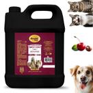 Condicionador Cachorro Pet Caes Banho 5 Litros Cereja Avela