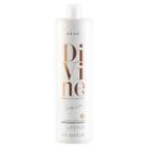 Condicionador Divine Braé Antifrizz Absolutely Smooth 1000ml