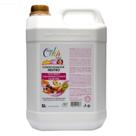 Condicionador Dream Color Tutti Fruti 5L Banho Tosa Pet Shop