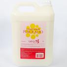 Condicionador Lavatório 5 Litros Galão Perolado Lady Liz