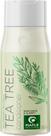 Condicionador Maple Holistics Óleo de melaleuca para cabelos secos 250ml Condicionador Maple Holistics Óleo de melaleuca para cabelos secos 250ml