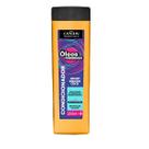 Condicionador óleos poderosos 250ml