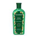 Condicionador Phyto Controle Oleosidade - 250ml Condicionador Phyto Controle Oleosidade - 250ml