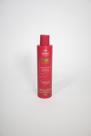 Condicionador Pós Progressiva Scolari 300ml