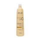 Condicionador Repair Up Salles Profissional 1lt