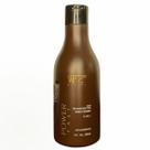 Condicionador SOS Capilar para cabelos com Pré e Pós Químicas Progressivas Reconstrução WF 300ml