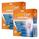 Condricart - Colágeno Tipo 2 + vitamina D com 120 Cápsulas (2 de 60 capsulas) Condricart - Colágeno Tipo 2 + vitamina D com 120 Cápsulas (2 de 60 capsulas)