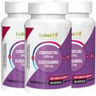 Condroitin + Glucosamina 3 Frascos