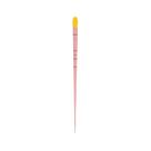 Cone de Guta Percha Bassi com 60 un - Easy