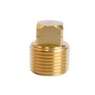 Conector Cored Plug Homeplus+ Conexão de mangueira MPT de 3/8"