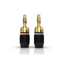 Conector de Caixa de Som Casafoyer QuickLock Dourado 2 Pares
