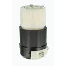 Conector de travamento Leviton 20A 250V NEMA L6-20R Industrial Conector de travamento Leviton 20A 250V NEMA L6-20R Industrial