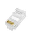 Conector M Rj-45 Cat5E 8X8 Pcte 100