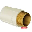 Conector Macho Aquatherm Soldável CPVC Bege Para Canos Tubo De Água Quente 28mmx1” Polegadas Tigre