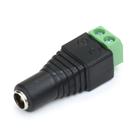 Conector Pino P4 FÊMEA com Borne