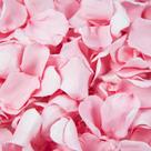 Confetti de pétalas de rosa secas Eslibin Real Pink 50mL para casamento