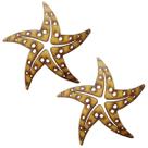 Conj 2 descanso de panelas estrela do mar mdf 22cm