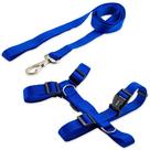 Conj peito e guia nylon 20mm m club pet