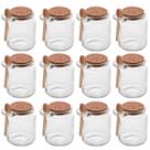 Conjunto 12 Potes de Vidro com Tampa de Rolha Colher de Bambu Porta Temperos 240ml Lyor