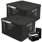 Conjunto 2 Caixas Organizadora Cesto Tampa 17L Resistente