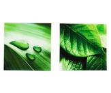 Conjunto 2 Quadros Folhas Decorativos Paisagem Mek