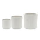 Conjunto 3 de cerâmica canelada branca estriada Planter Amazon Basics
