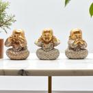 Conjunto 3 Mini Budas Sábios + Bandeja Espelhada Decorativa com Detalhes em Metal Dourado