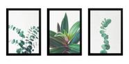 Conjunto 3 Quadros A4 Decorativos Plantas Para Sala Cozinha Conjunto 3 Quadros A4 Decorativos Plantas Para Sala Cozinha