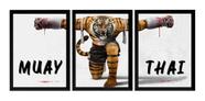 Conjunto 3 Quadros Muay Thai Arte Tigre Lutador