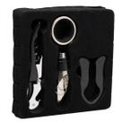 Conjunto 4 Peças de Aço Inox para Vinho - Lyor