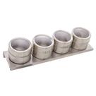 Conjunto 4 Porta Temperos de Aço Inox com Suporte Imantado 80ml - Lyor