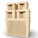 Conjunto 5 Caixas Organizadoras Cesto 17L 4,5L 2L Resistente