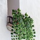 Conjunto 5 Pendentes Artificiais: Adicione um Toque de Verde com Plantas Permanentes - DE0422