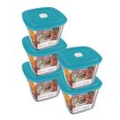 conjunto 5 Pote Vidro Quadrado Alto Facilita Tampa 1L Marinex conjunto 5 Pote Vidro Quadrado Alto Facilita Tampa 1L Marinex