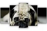 Conjunto 5 Quadros Cachorro Pug Fofo"