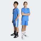 Conjunto Adidas 3 Stripes Juvenil Azul