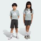 Conjunto Adidas Big Logo T Set 160 Infantil Verde