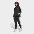 Conjunto Adidas Masculino