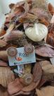 Conjunto Anel e Brinco banhado a Ouro