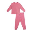 Conjunto Básica e Calça Fleece Thermo Rosa Borboleta - Dedeka Tamanho:3T