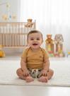 Conjunto Bebê Menino Tigrinho Milon