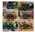 Conjunto biomas do brasil - EDITORA PE DA LETRA