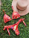 Conjunto Biquini