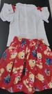Conjunto Blusa e Saia